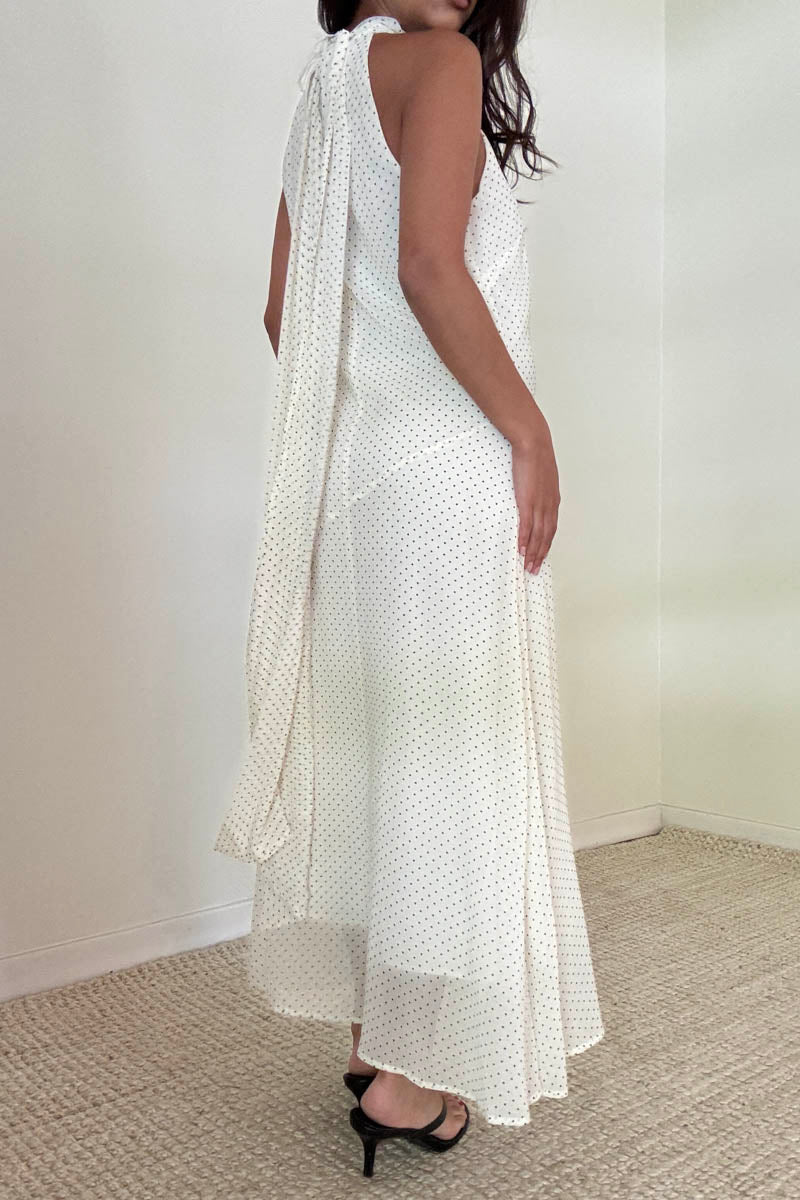 Polka Dot Maxi Dress