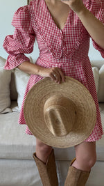 Red Peter Pan Collar Mini Gingham Dress