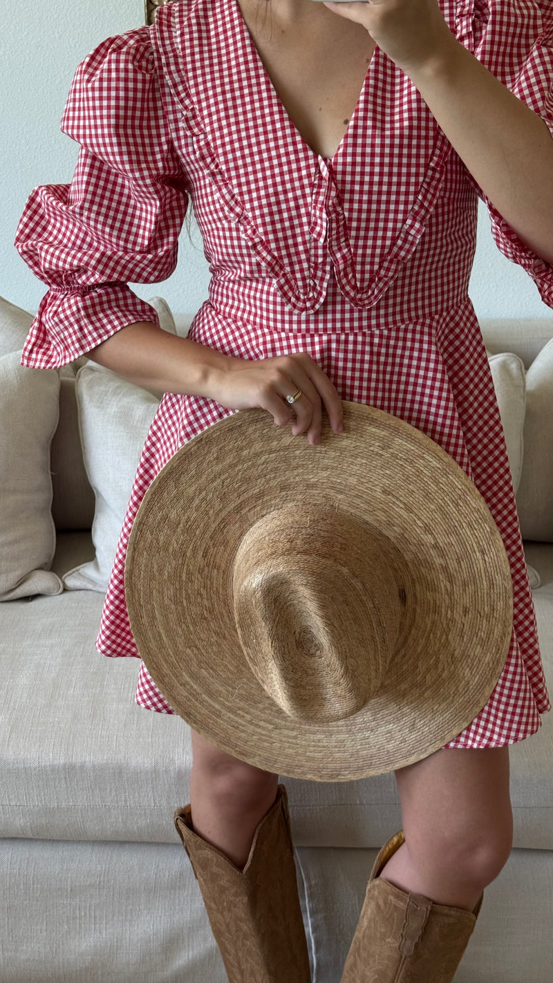 Red Peter Pan Collar Mini Gingham Dress