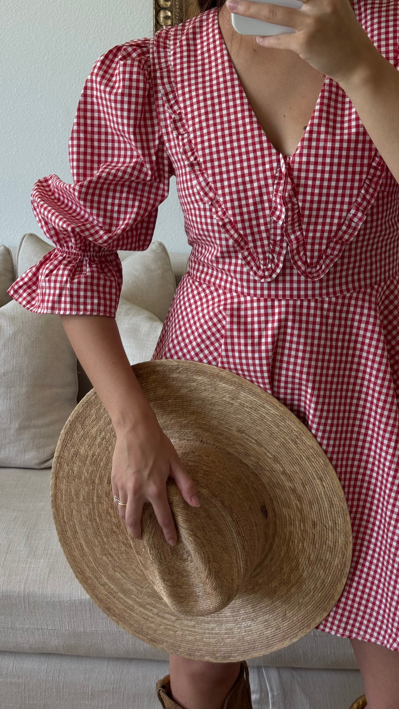 Red Peter Pan Collar Mini Gingham Dress