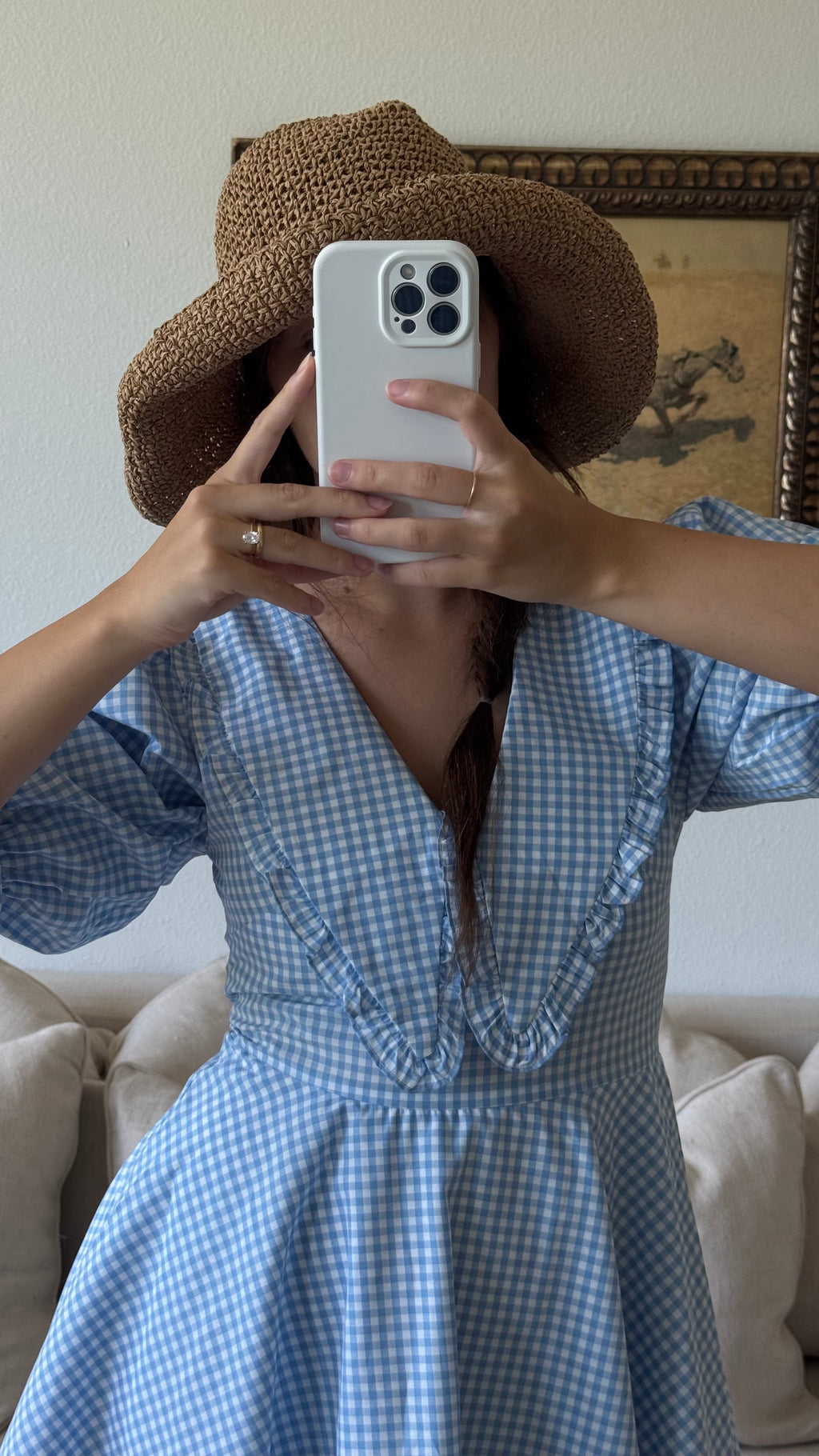 Blue Peter Pan Collar Mini Gingham Dress