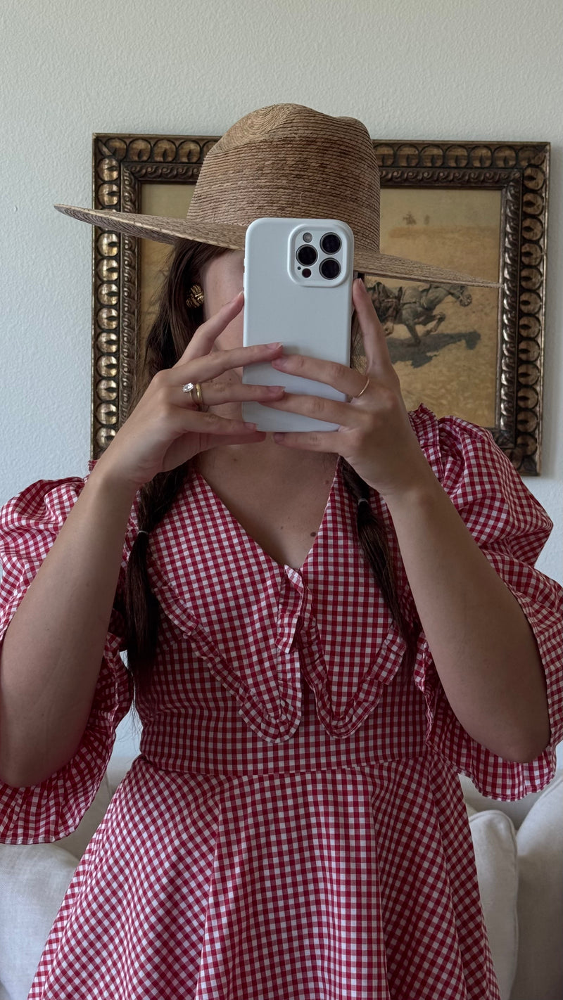 Red Peter Pan Collar Mini Gingham Dress