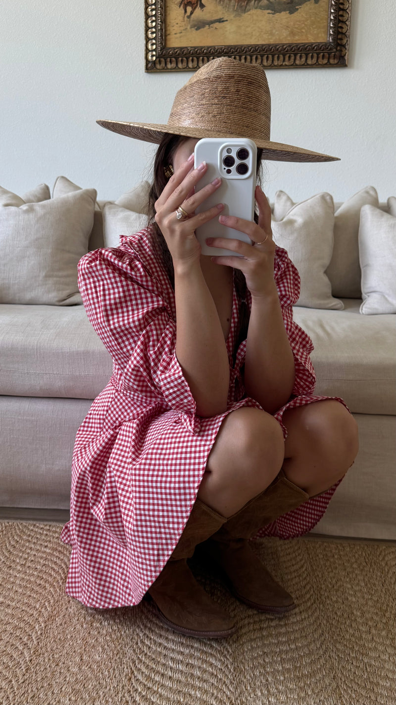 Red Peter Pan Collar Mini Gingham Dress