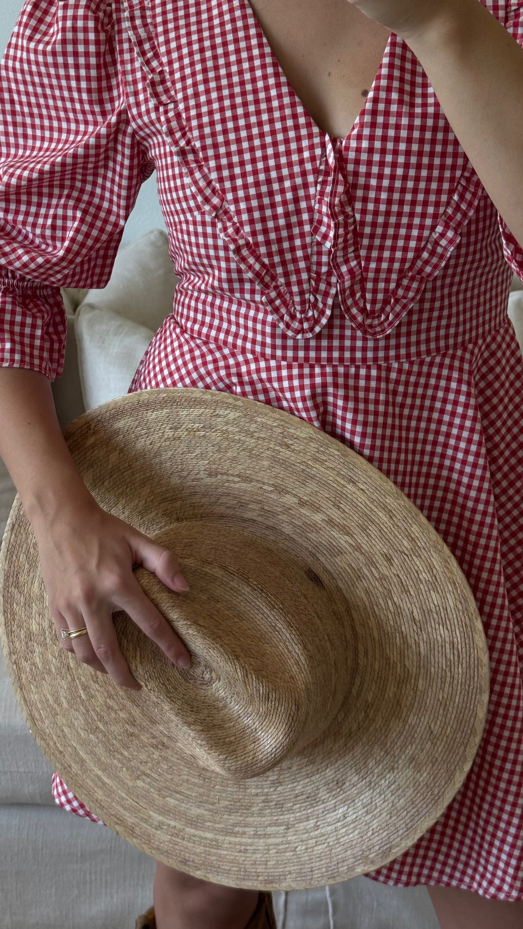 Red Peter Pan Collar Mini Gingham Dress