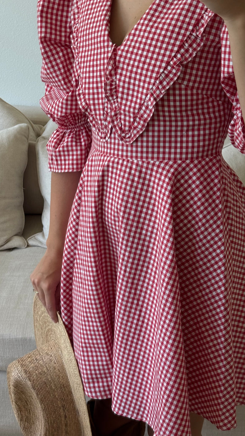 Red Peter Pan Collar Mini Gingham Dress