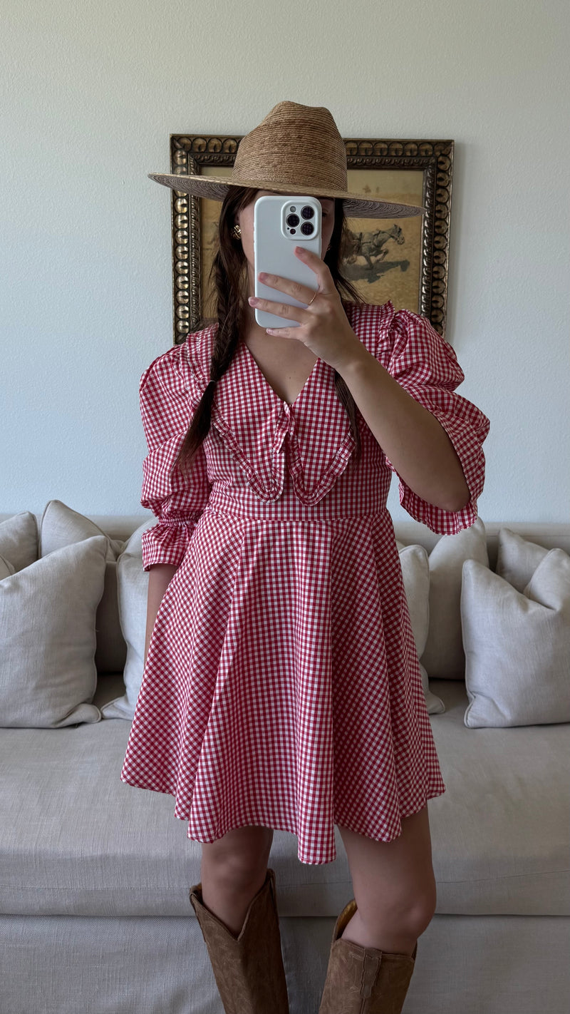Red Peter Pan Collar Mini Gingham Dress