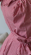 Red Peter Pan Collar Mini Gingham Dress