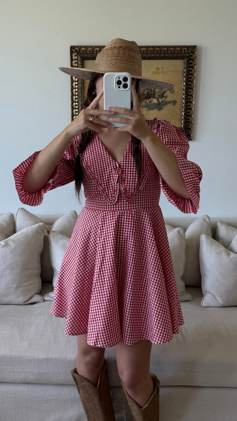 Red Peter Pan Collar Mini Gingham Dress