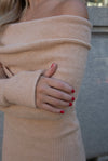 Hudson Oatmeal Sweater Dress- FINAL SALE